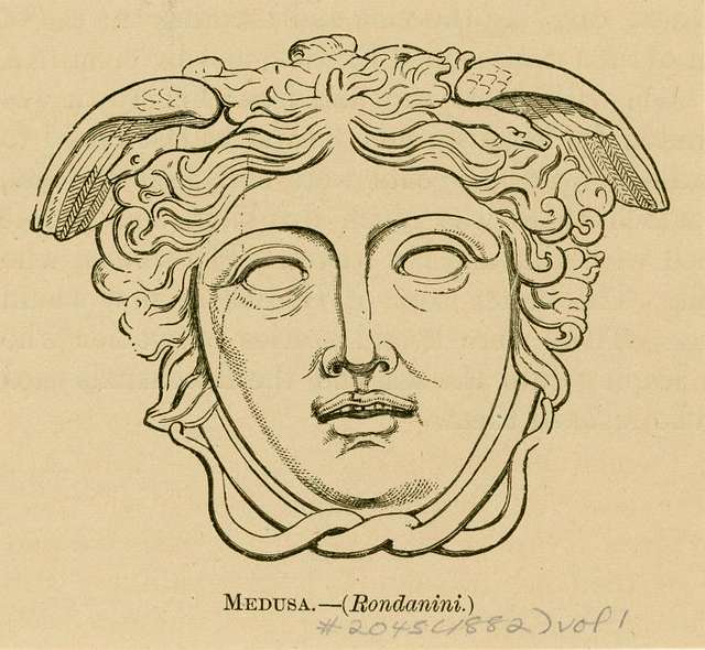 Gorgon Medusa Stock Illustration - Download Image Now - Medusa, Greek  Mythology, Illustration - iStock