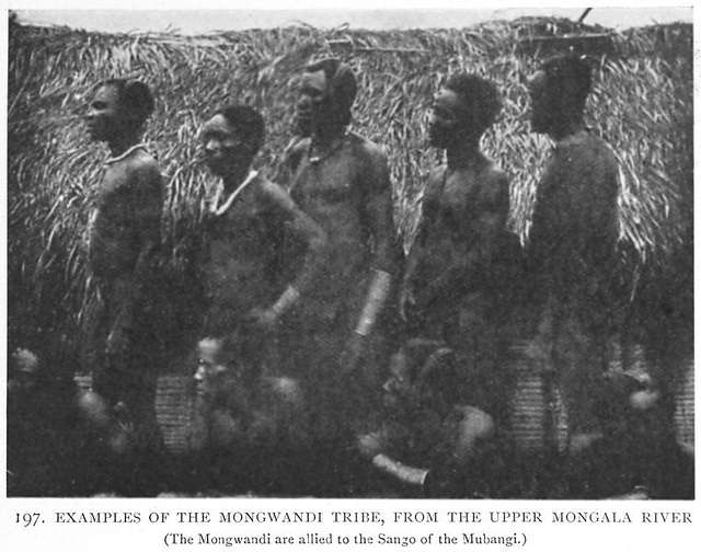 https://cdn6.picryl.com/photo/1908/01/01/examples-of-the-mongwandi-tribe-fromthe-upper-mongala-river-the-mongwandi-are-9af628-640.jpg