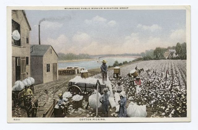 cotton-picking-milwaukee-public-museum-miniature-group-ec8240-640.jpg