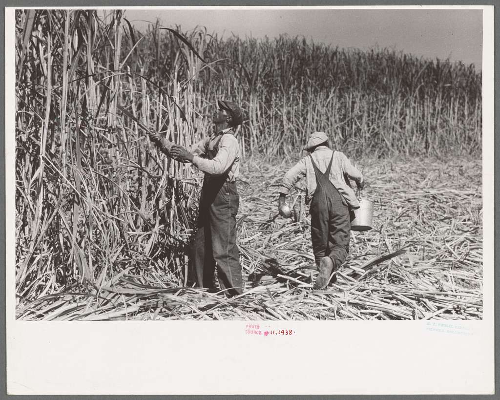 A black and white photo of a group of people, Louisiana. Farmers during  Great Depression - PICRYL - Public Domain Media Search Engine Public Domain  Image